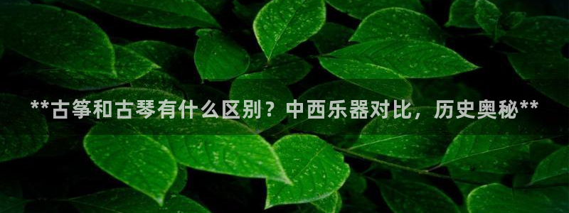 k8凯发是做什么的