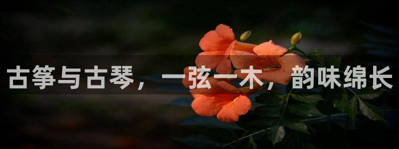 凯发娱乐k8国际