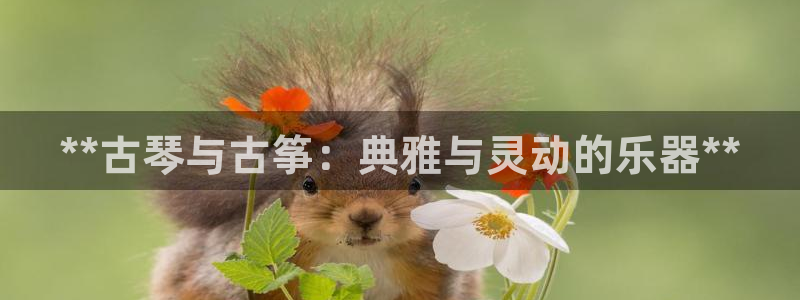 凯发网网站