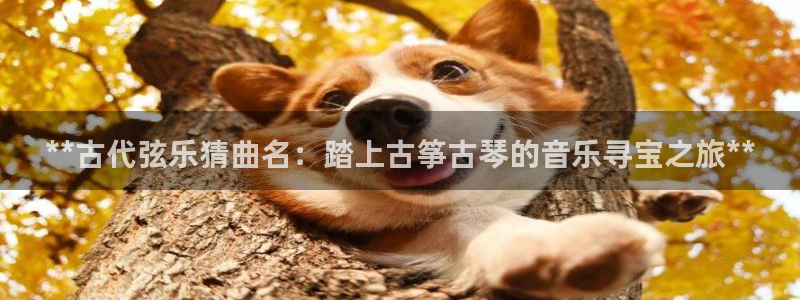 凯发k8国际app