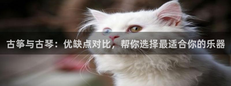 凯发k8国际app