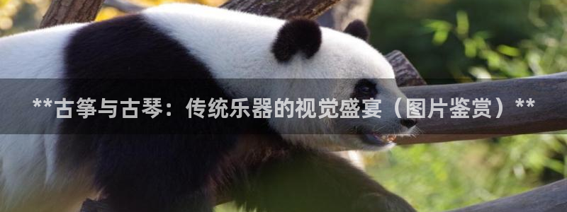 凯发网站是多少