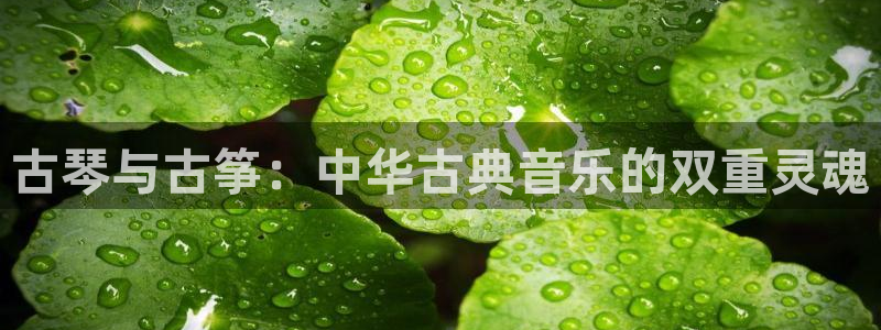 凯发k8官方