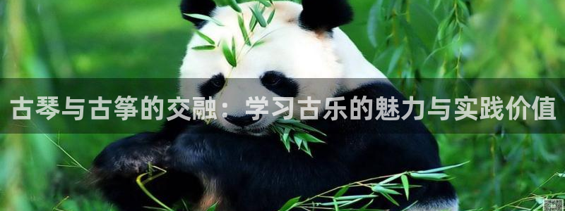 凯发k8网站是多少