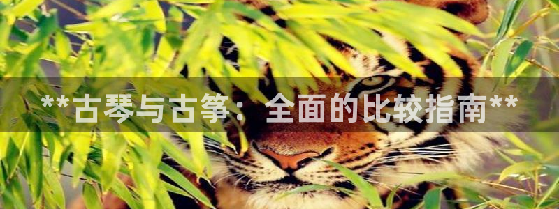 凯发平台轻7O777