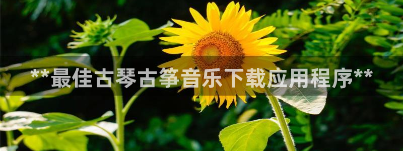 凯发旗舰厅官网