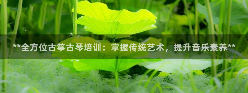 凯发在线平台官方网站