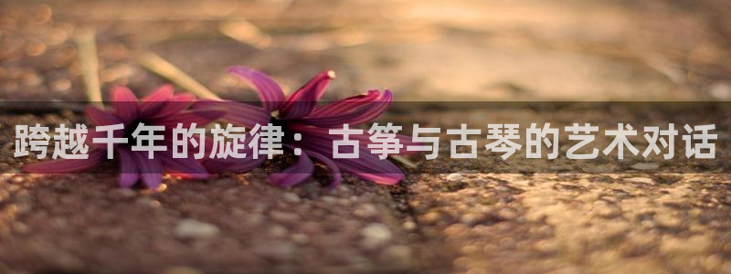 凯发娱网址是什么