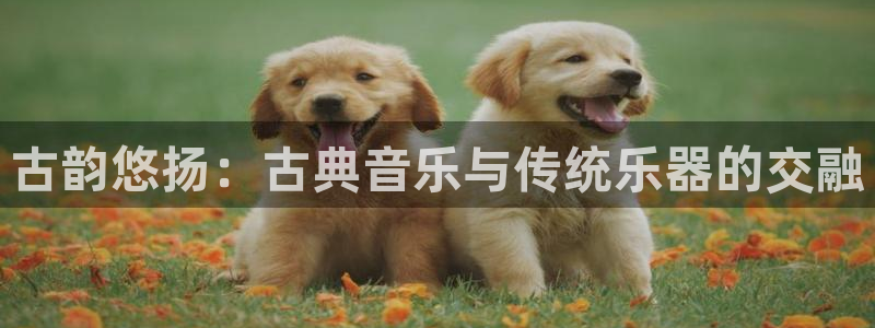凯发国际网站