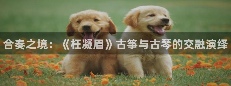 凯发k8国际app