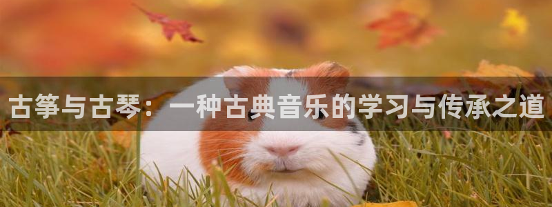 凯发唯一官方网站：古筝与古琴：一种古典音乐的学习与传承之道