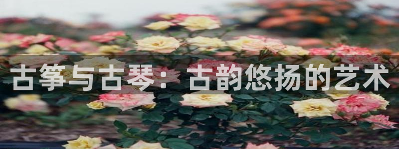 凯发k8娱乐|k808.vip
