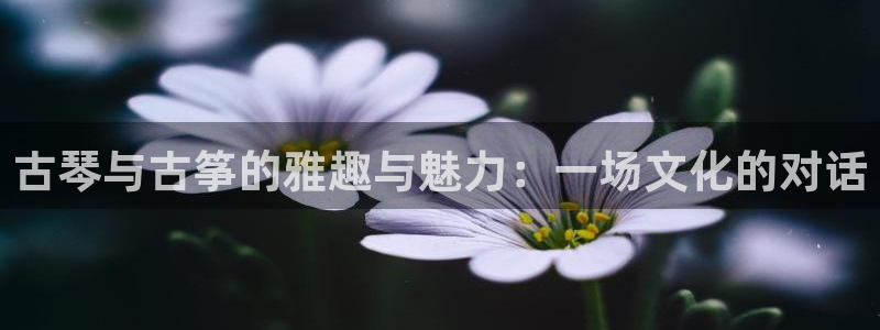 凯发国际网站