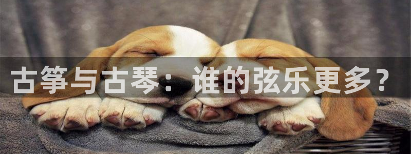 凯发平台8