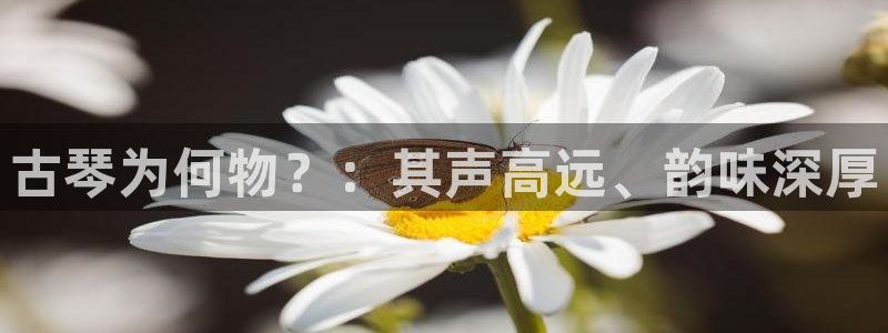凯发k8是真是假