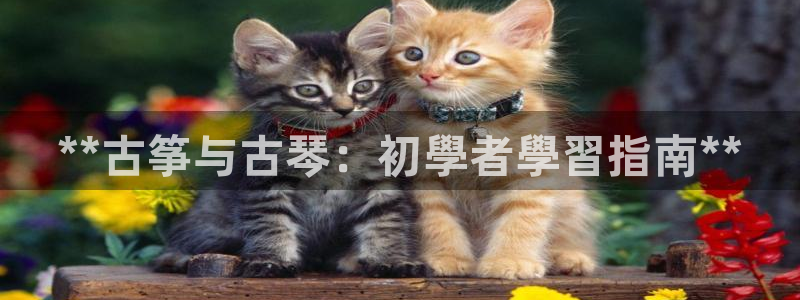 凯发注册网站：**古筝与古琴：初學者學習指南**