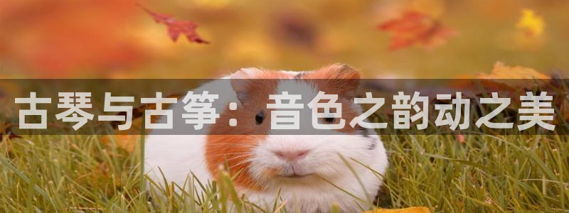 凯发官网|认准kpm