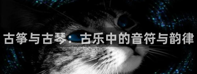 凯发平台轻7O777：古筝与古琴：古乐中的音符与韵律