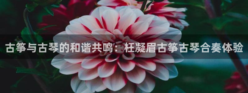 凯发k8国际真人版可靠送38元：古筝与古琴的和谐共鸣：枉凝眉