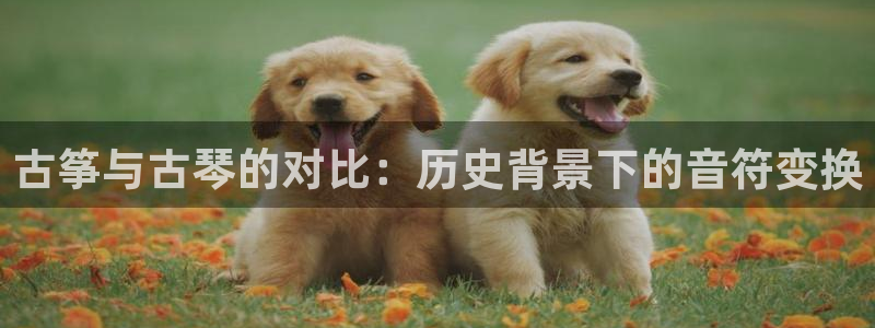 凯发k8国际娱乐版：古筝与古琴的对比：历史背景下的音符变换