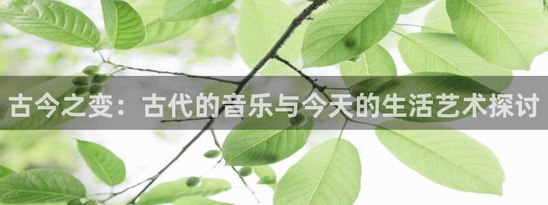 凯发国际可靠送38元