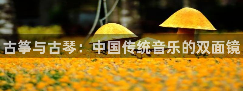 凯发k8555|手机版