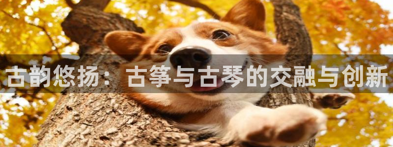 凯发网址直营
