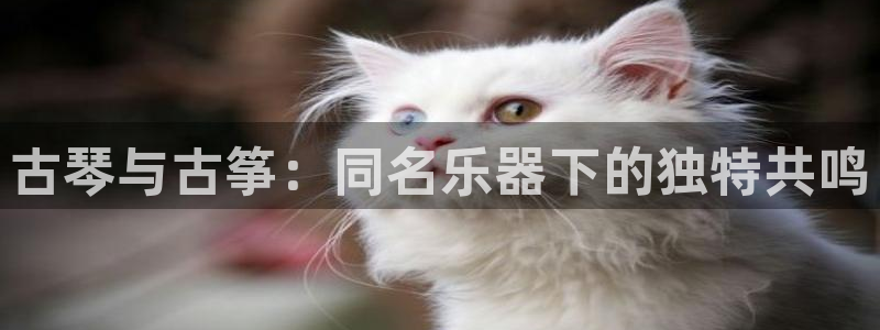 凯发K8天生赢家一触即发