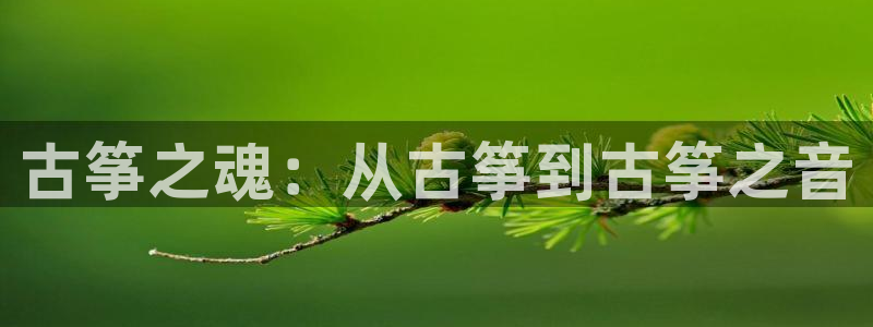 凯发注册手机版官网：古筝之魂：从古筝到古筝之音