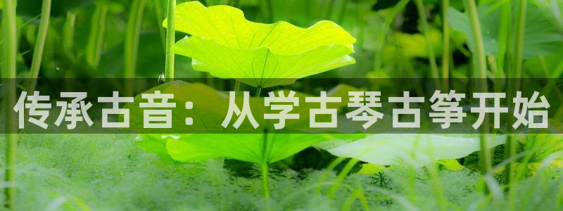 k8凯发官方找就送38