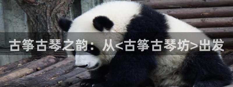 凯发k8娱乐品牌导航