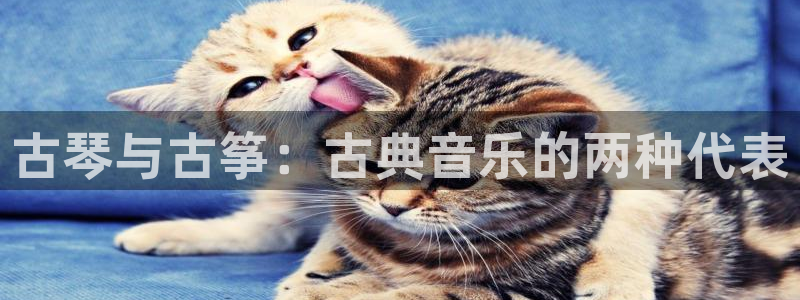 凯发k8官方网娱乐官方：古琴与古筝：古典音乐的两种代表