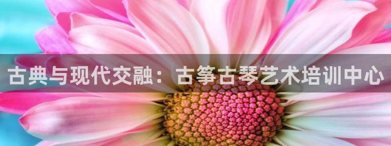 凯发注册网站：古典与现代交融：古筝古琴艺术培训中心