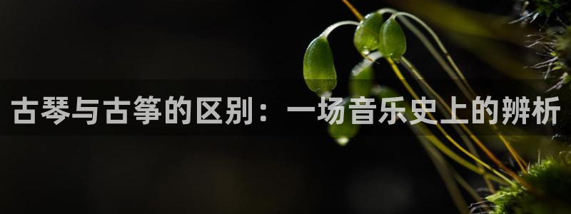 凯发在线官网登录下载：古琴与古筝的区别：一场音乐史上的辨析