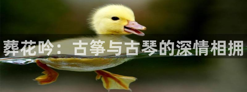 凯发一触即发：葬花吟：古筝与古琴的深情相拥