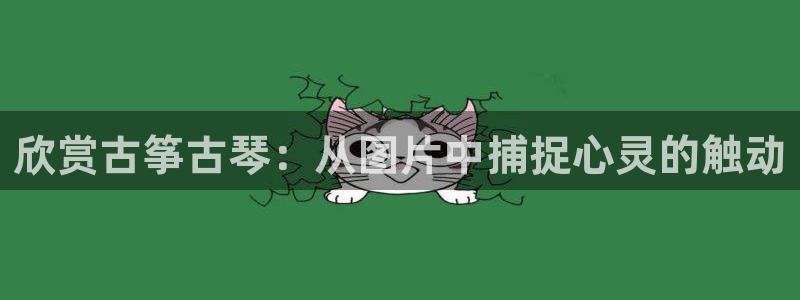 凯发国际网址官网