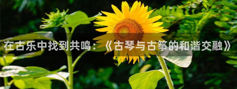 凯发国际官网下载