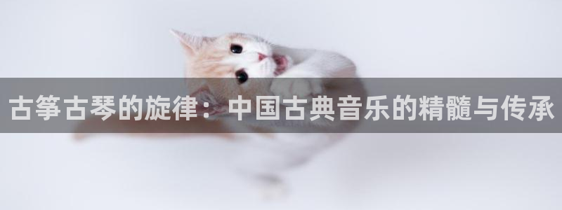 凯发国际app下载