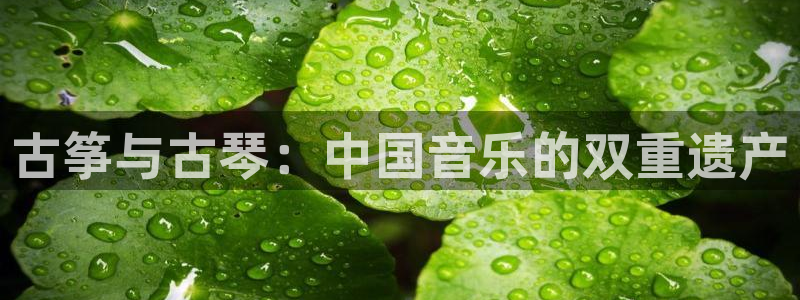 凯发手机官网客户端