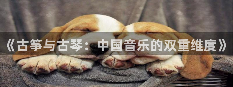 凯发就来凯发天生赢家一触即发：《古筝与古琴：中国音乐的双重维