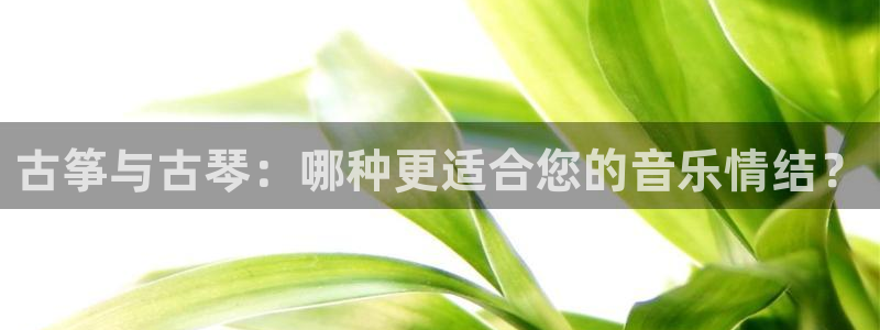 凯发app是干嘛的：古筝与古琴：哪种更适合您的音乐情结？