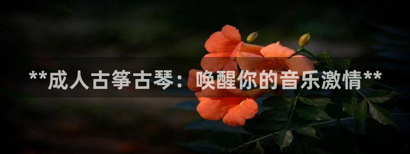 凯发k8娱乐是什么平台：**成人古筝古琴：唤醒你的音乐激情*